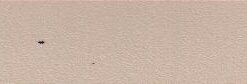 PVC No 244